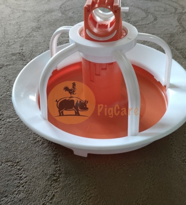 Thiết bị chăn nuôi vịt