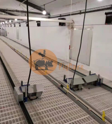 Hệ thống gà giống bố mẹ